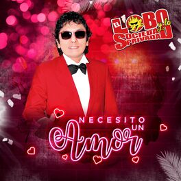 Album cover of Necesito un Amor
