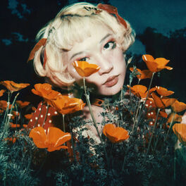 Album cover of Pretty Bones