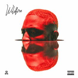 Album cover of Wildfire