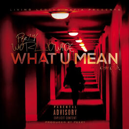 Album cover of What U Mean Barbie