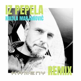 Album cover of IZ PEPELA (KAMENY REMIX)