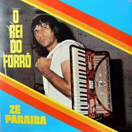 Album cover of O Rei do Forro