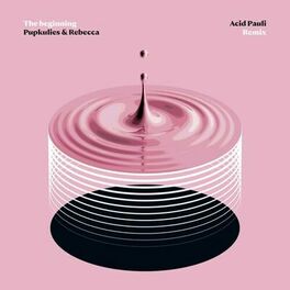 Album cover of The Beginning (Acid Pauli Remix)