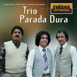 Album cover of Raizes Sertanejas