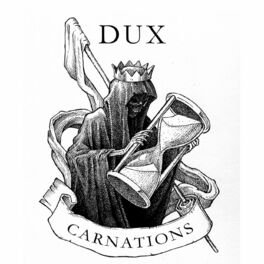 Album cover of Carnations