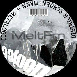 Album cover of Meltfm