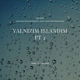 Album cover of Yalnızım ıslandım, Pt. 2