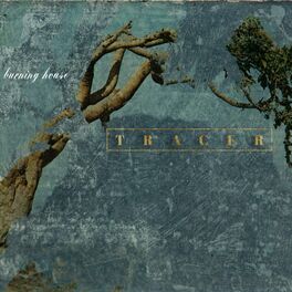 Album cover of Tracer