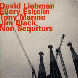 Album cover of Non Sequiturs