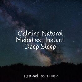Album cover of Calming Natural Melodies | Instant Deep Sleep