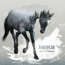 Album cover of Rautasuu