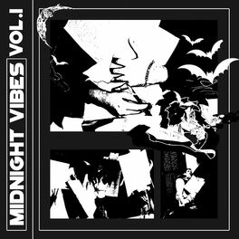 Album cover of Midnight Vibes, Vol. 1
