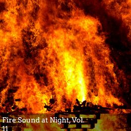 Album cover of Fire Sound at Night, Vol. 11