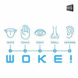 Album cover of Woke