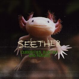 Album cover of Curiosities, Rarities And Pariahs