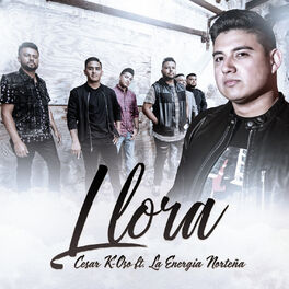 Album cover of Llora