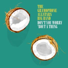 Album cover of Don't You Worry 'Bout a Thing