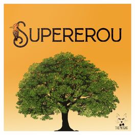 Album cover of Supererou
