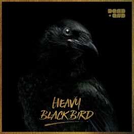 Album cover of Heavy Black Bird