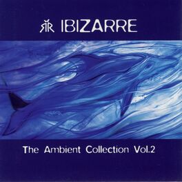 Album cover of Ambient Collection Vol. 2