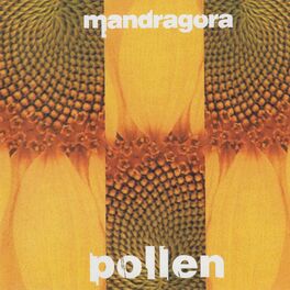 Album cover of Pollen