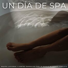 Album cover of Un Día De Spa: Suaves Lloviznas y Vientos Tranquilos Para Un Masaje De Cuerpo Completo