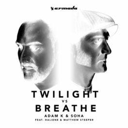 Album cover of Twilight vs Breathe (feat. HALIENE & Matthew Steeper)