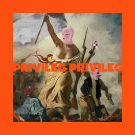 Album cover of privileg privileg