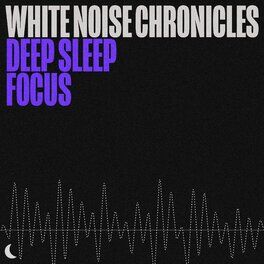 Album cover of White Noise Chronicles: Deep Sleep Focus