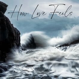 Album cover of How Love Feels