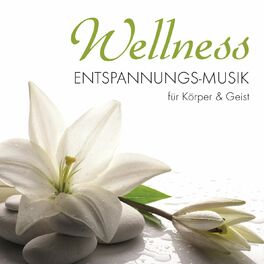 Album cover of Wellness - Entspannungs-Musik für Körper & Geist