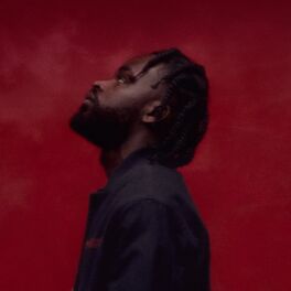 Album cover of Rise