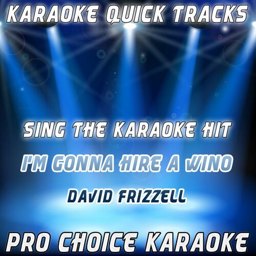 Pro Choice Karaoke Karaoke Quick Tracks I M Gonna Hire A Wino