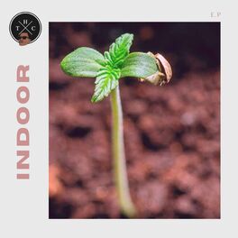 Album cover of Indo