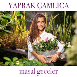 Album cover of Masal Geceler