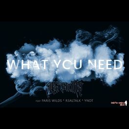 Album cover of WHAT YOU NEED (feat. EZ SIXOSIX, PARIS WILDS, R3ALTALK & YNOT)