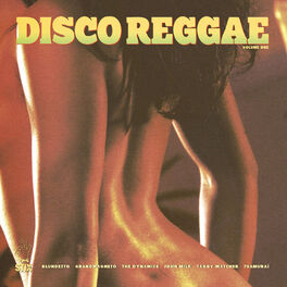 Album cover of Disco Reggae