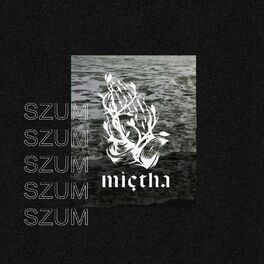 Album cover of Szum