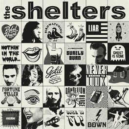 Album cover of The Shelters