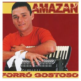 Album cover of Forró Gostoso