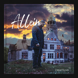 Album cover of Allein
