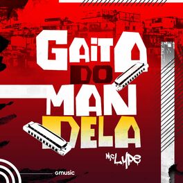 Album cover of Gaita do Mandela