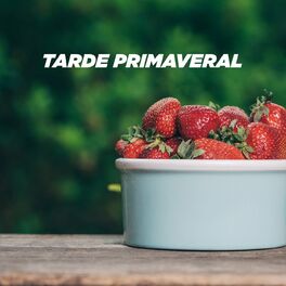 Album cover of Tarde Primaveral