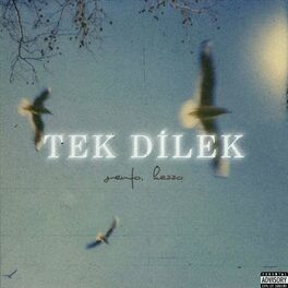 Album cover of Tek Dilek