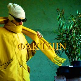 Album cover of Faktsiin