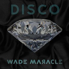 Album cover of Disco