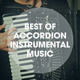 Album cover of Best of accordion instrumental music