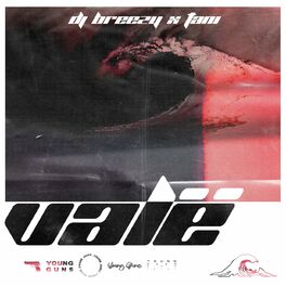 Album cover of Valë