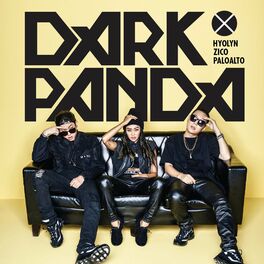Album cover of DARK PANDA