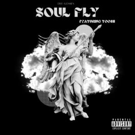 Album cover of Soul Fly